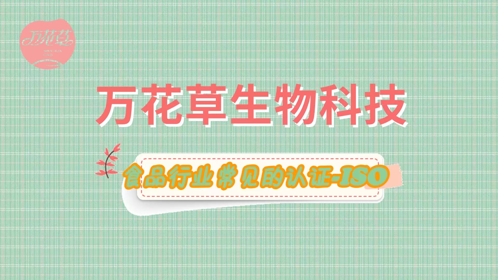 什么是體系認證？梳理一下食品行業常見的認證