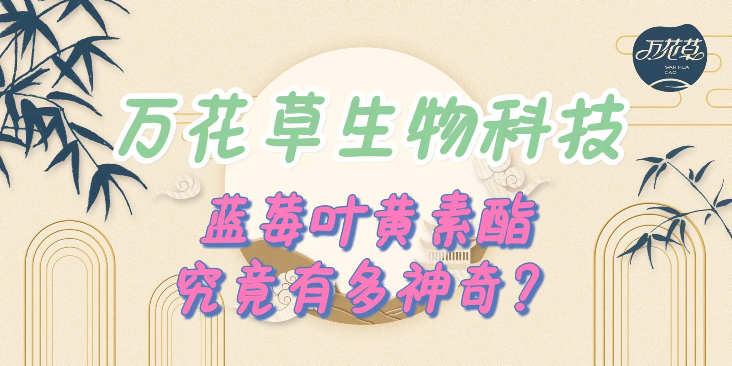 升級配方，重磅出擊，萬花草藍莓葉黃素酯究竟有多神奇？